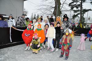 Karneval na ľade 2013